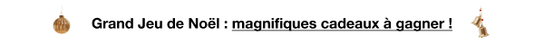 Grand Jeu de Noël pour les pros